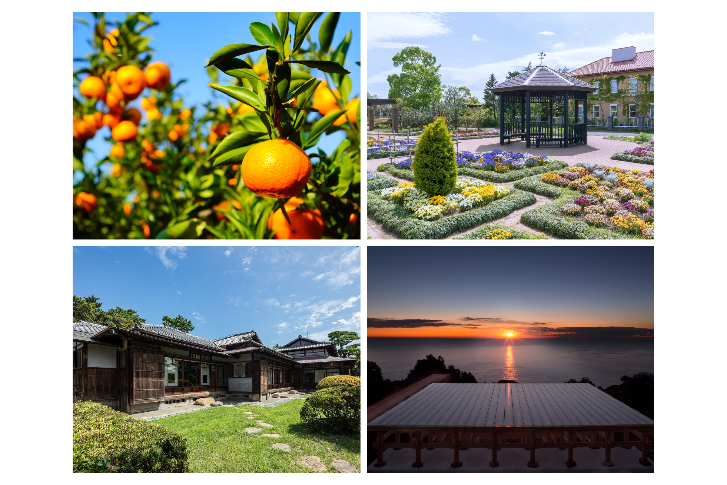 親子で巡る湘南西タイムトラベル 〜果物狩りや歴史探訪〜